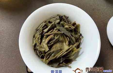 普洱茶大白菜小白菜怎样理解：区别与由来