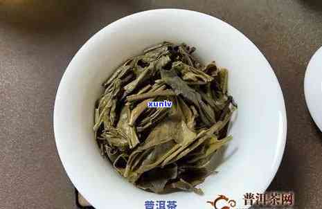 普洱茶、大白菜和小白菜之间的差异及其用途：一篇全面的比较指南