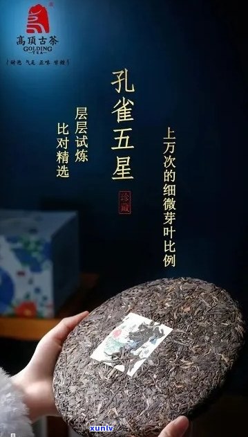 曼松五彩雀普洱茶：品鉴与鉴