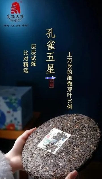 曼松五彩雀普洱茶：品鉴与鉴