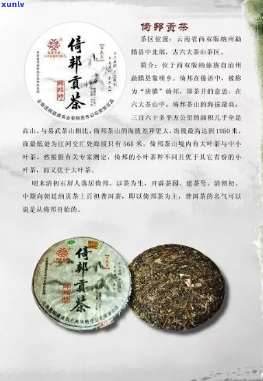 昆明龙香三国普洱茶：品种、产地、 *** 工艺、口感及品鉴 *** 的全面解析