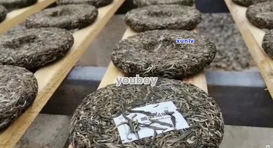 昆明龙香三国普洱茶：品种、产地、 *** 工艺、口感及品鉴 *** 的全面解析