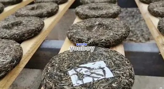 昆明龙香三国普洱茶：品种、产地、 *** 工艺、口感及品鉴 *** 的全面解析