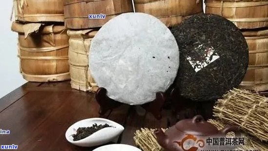 三十年普洱茶收藏之旅：珍品探秘、投资指南与品鉴体验