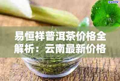 易恒坤普洱茶：全面详价，高品质茶叶指南