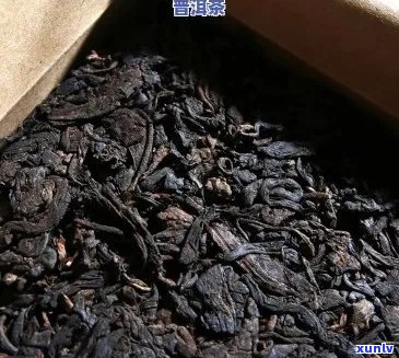 俊仲号7698老树普洱茶：品质、年份、产地、冲泡 *** 及口感全解析