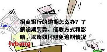 招商银行信用卡逾期还款问题全面解答：逾期原因、后果及解决 *** 一文看懂