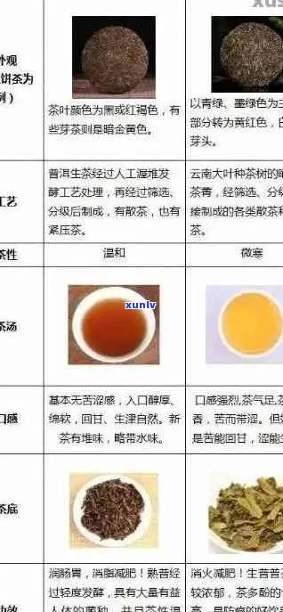 普洱茶的种类和功效：茶窝子普洱茶全面解析及适用人群