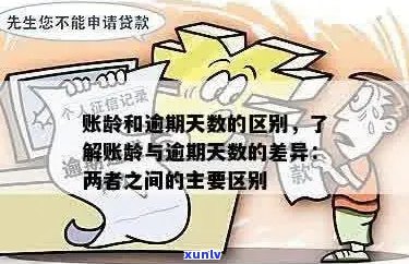 逾期月份数与逾期次数之间的区别：解答用户关于逾期记录的疑问