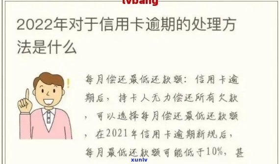 逾期月份数与逾期次数之间的区别：解答用户关于逾期记录的疑问