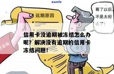 没有逾期的信用卡被冻结了怎么办？