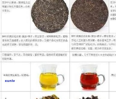 普洱茶六级茶级别解析：从原料到品质的全方位了解