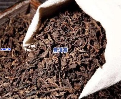 6级熟普洱茶怎么样