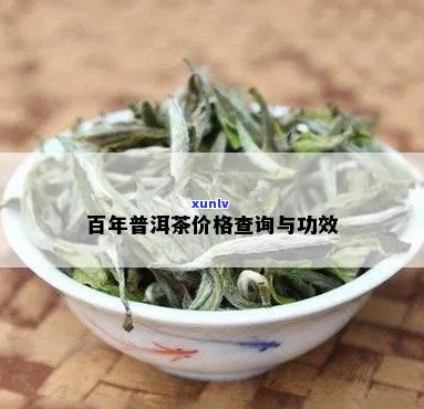 百年普洱茶多少钱一斤：价格查询与功效作用