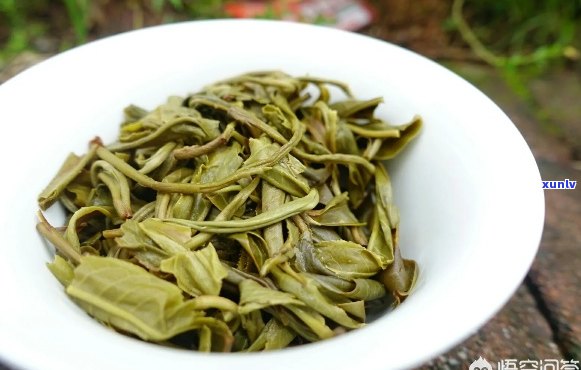 普洱茶头：熟茶还是生茶？探究这两种茶叶的特点与区别