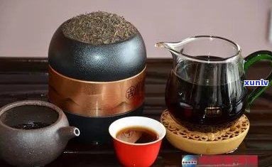 中品茗蒸煮普洱茶：适宜与否，健效益与饮用方式探讨