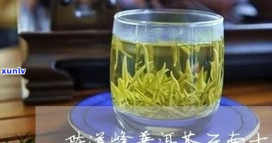 陈道峰普洱茶：品种、产地、 *** 工艺、功效与泡法全面解析