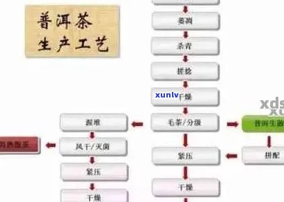 陈道峰普洱茶：品种、产地、 *** 工艺、功效与泡法全面解析