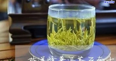 陈道锋普洱茶：精选云南大叶种，醇厚回的品鉴之选