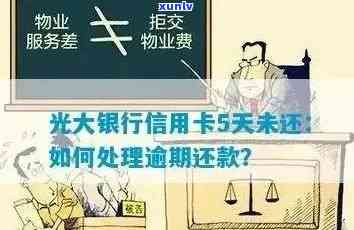 光大银行贷款逾期，会影响光大信用卡吗？如何处理？