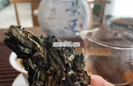 上霉的普洱茶能喝吗