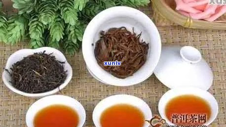 普洱茶是否属于红茶类？