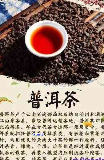 著名的普洱茶有哪些：深度解析与推荐