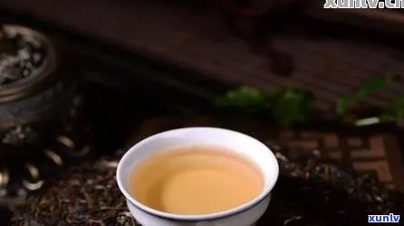 普洱茶热杯香冷杯香：探究普洱生茶的两种不同香气表现