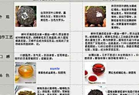 七年普洱茶的成长历程：从选购到品鉴，全方位解析与推荐