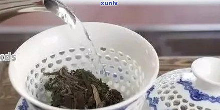 普洱茶冲泡：适量投放茶叶以保证口感和香气的体验