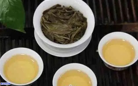 '哪种普洱茶最香：探究各种普洱茶的香味特性与口感优劣'