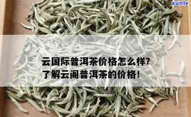 '云普洱茶的价格：关普洱茶价格'