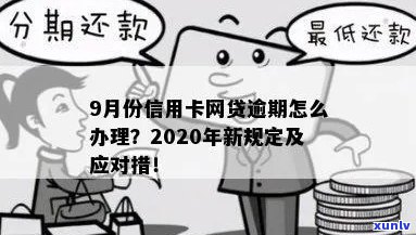 翡翠项链价格区间：从亲民到奢华，多种选择满足不同预算需求