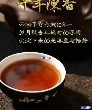 十年熟普洱茶的美味描绘：一口感与风味的故事