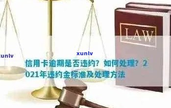 2021年信用卡逾期还款的罚款和后果：你可能会面临哪些刑事责任？