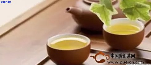 普洱茶全天候饮用：从早到晚的品茗之道与注意事项