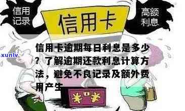 信用卡逾期利息高吗？如何避免逾期产生额外费用？