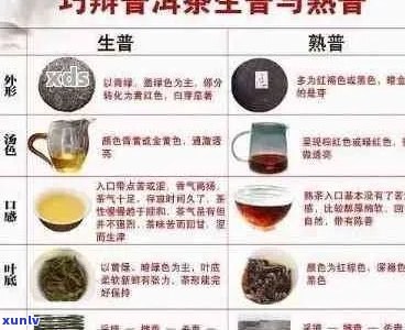 '千渝号普洱茶：品鉴与鉴，一份关于普洱茶的专业指南'