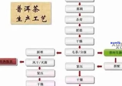 千寻普洱茶：品种、 *** 工艺、口感与功效一览，如何选择和品鉴？