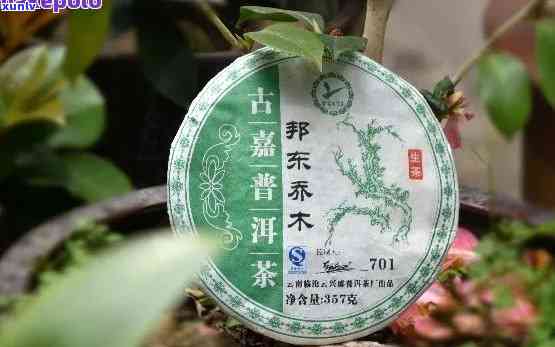 千一普洱茶邦东及茶叶产品介绍