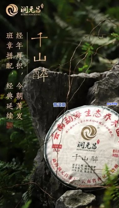 千沦号普洱茶价格表