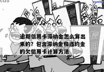 信用卡逾期三万利息多少合适：30000逾期一年利息及滞纳金信息