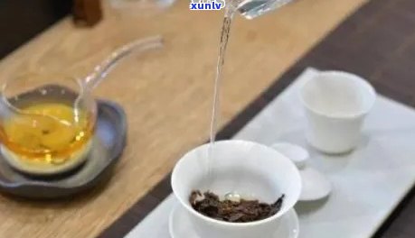 探究泡普洱茶的理想水：度与泡茶体验的关系