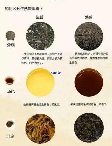 干仓普洱茶：生茶与熟茶的区分 *** 及其特点解析