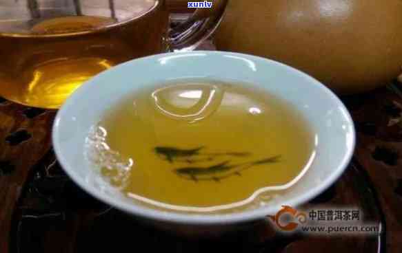 普洱茶古树茶泡法与品饮技巧：一文了解泡数及如何享受每一泡的风味