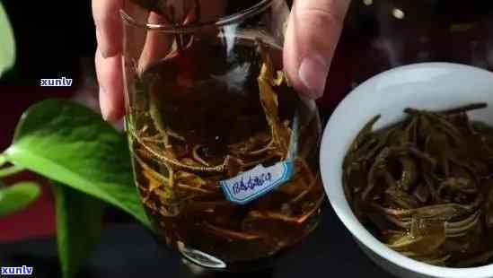 普洱茶古树茶泡法与品饮技巧：一文了解泡数及如何享受每一泡的风味