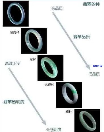 色修与冷翡翠：全面对比与解析，帮助您轻松识别与挑选