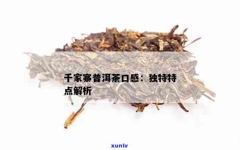 全面解析：千家寨普洱茶的口感特点、品鉴 *** 与适宜饮用场景