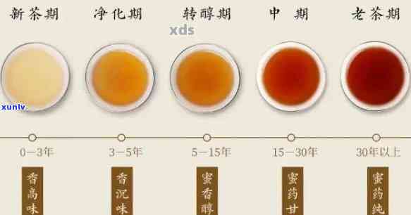 探索优质熟普洱茶的标准：口感、香气与陈化潜力的综合考量