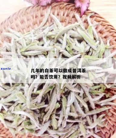 '白毫适合做普洱茶吗？如何 *** 白毫普洱茶？'